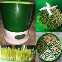 Load image into Gallery viewer, Bean Sprout Machine
